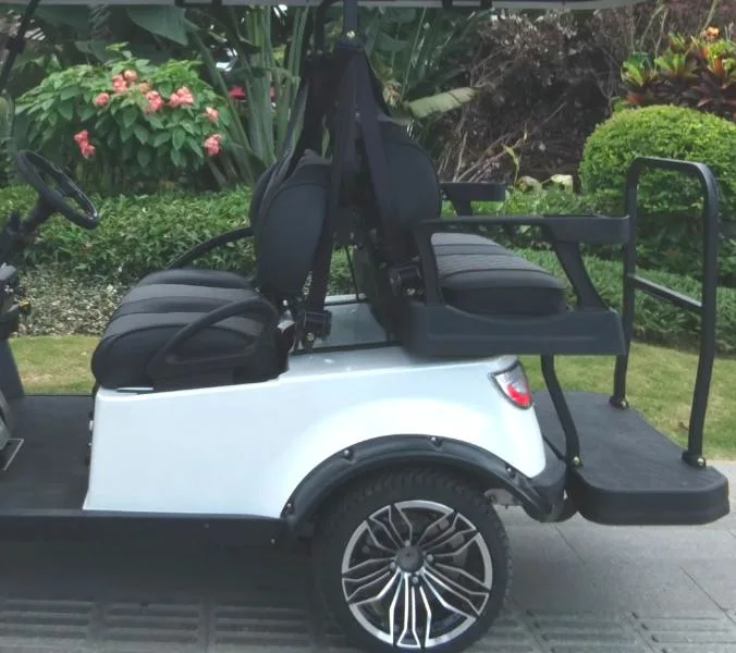 China Supplier Golf Cart Custom 2 4 6 Seater Mobility Scooter Golf Car Utility Vehicles