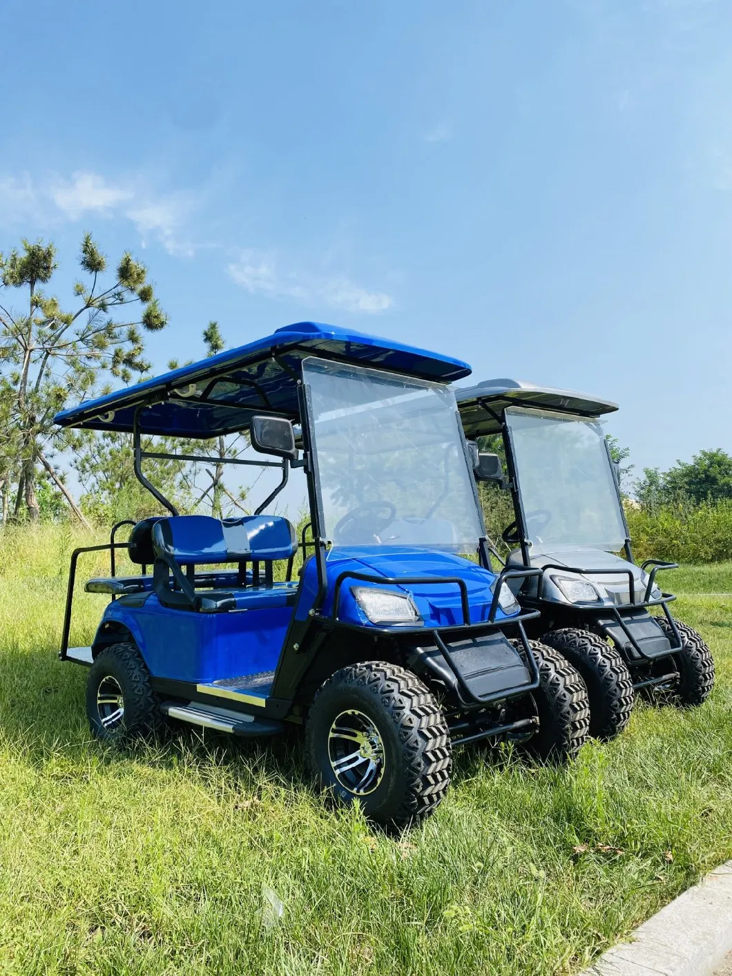 Fancy CE Customized 2 Seater Golf Electric Cart Cool off-Road Golf Cart