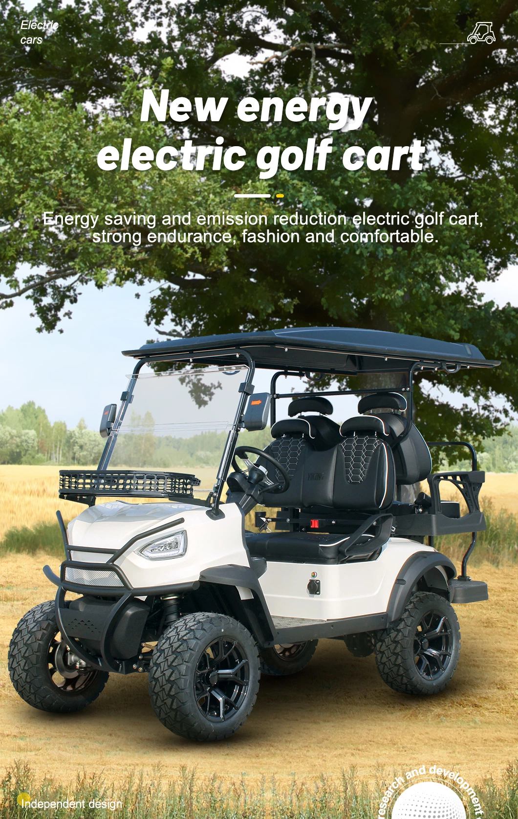 Best Choice 4 Seater Classic Golf Carts with Lithium Battery for Tourist