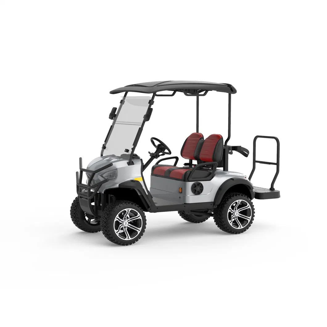 2 Seater Electric Hunting Golf Buggy Carts with Good Price