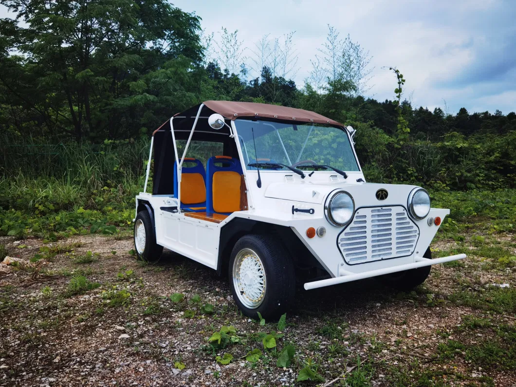 Sightseeing Car Moke Golf Vehicle (72V)