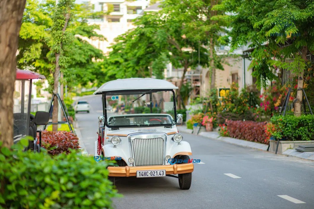 Classic Vehicle 11 Seats Vintage Electric Car for Tourist Park