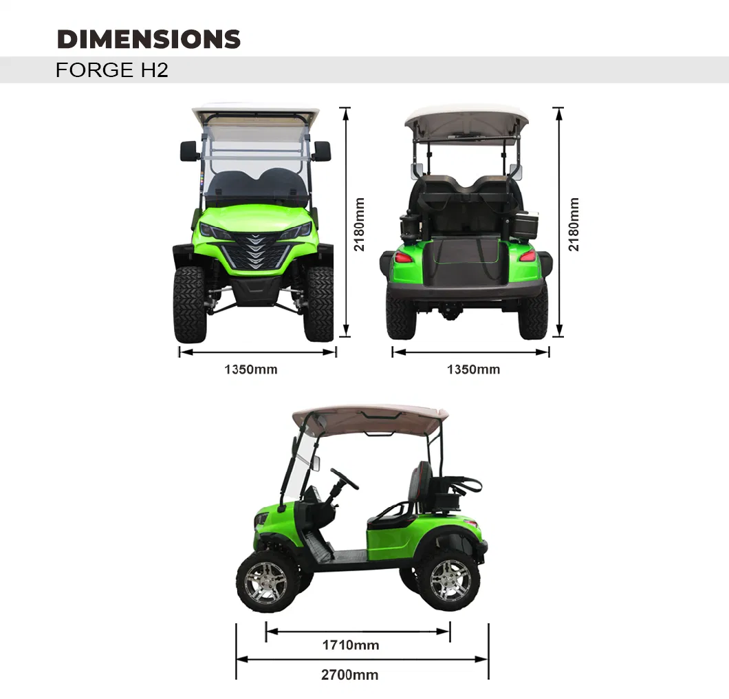 Hunting 2 Seats Forge H2 High-End Quality Golf Cart China Golf Buggy