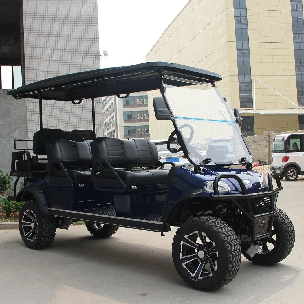 Electric Lifted Car/Cart/Buggy, Sightseeing Car, Utility Vehicle (DEL2042D2Z 4+2-Seater)