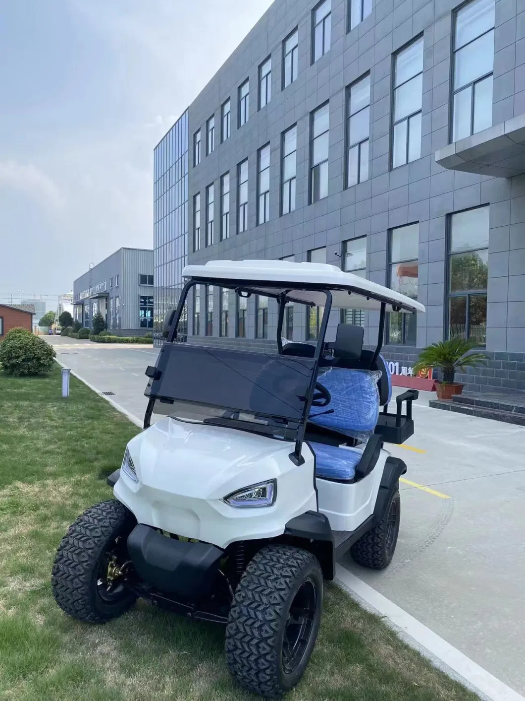 Nice Discount Golf Cart From Direct Factory with Strong Power and Lithium Battery