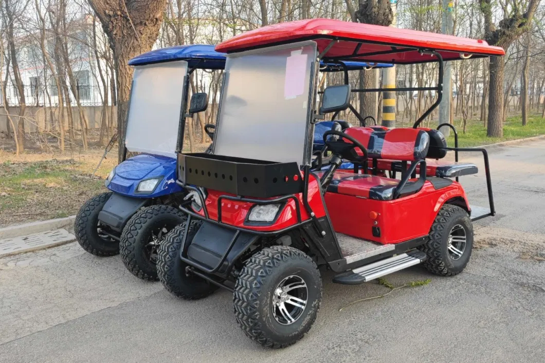Gasoline Cart 2+2 Seater 4+2 Seater Used Icon Gas Powered Golf Carts/ Electric Golf Cart