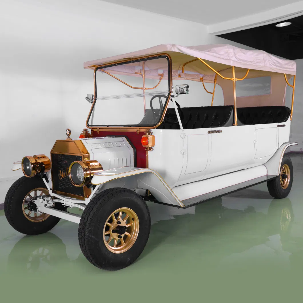 2023 New Style Classic Electric Vintage Vehicle in Lsv