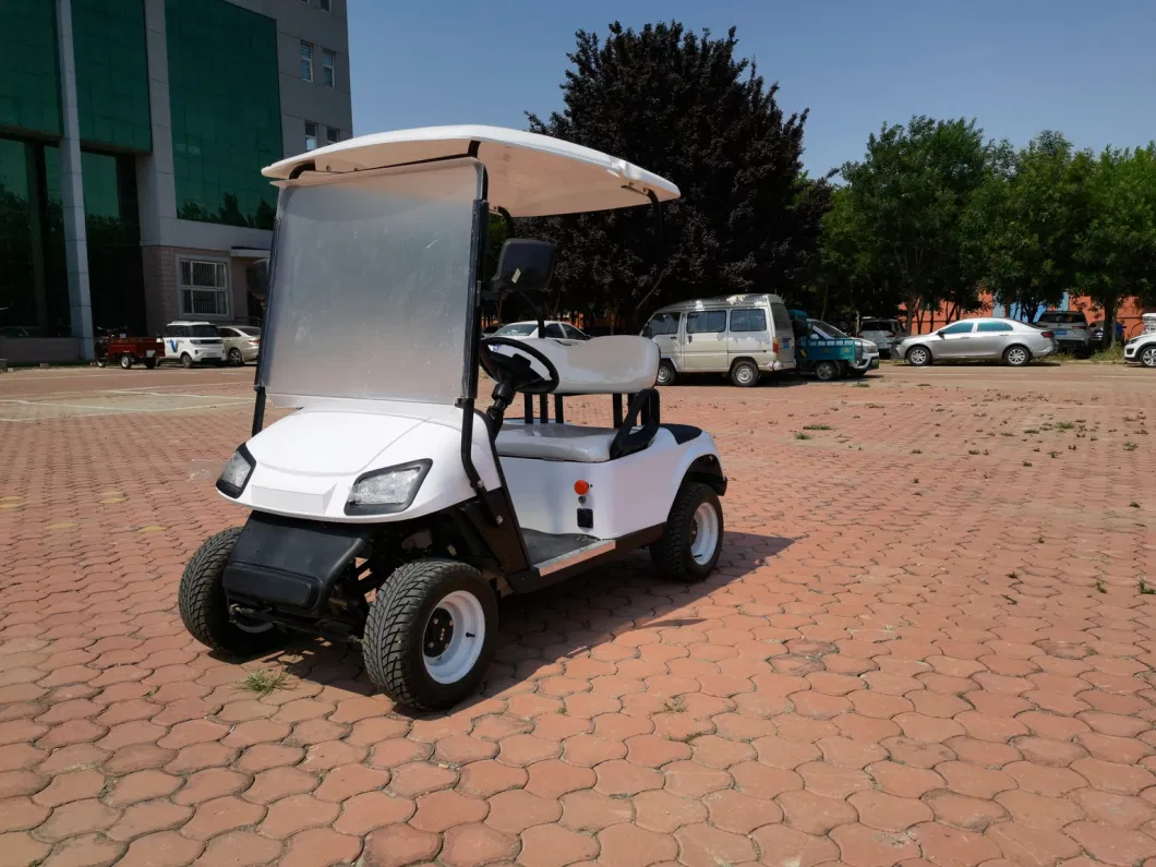 Made in China Golf Electric Sightseeing Vehicle, Single Row, Two Seats