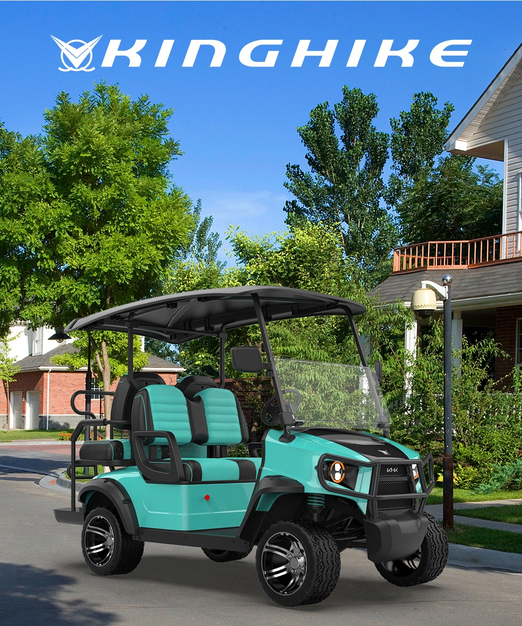 Luxurious Street Legal Lithium Battery 4 Seater Electric Golf Cart for Sale