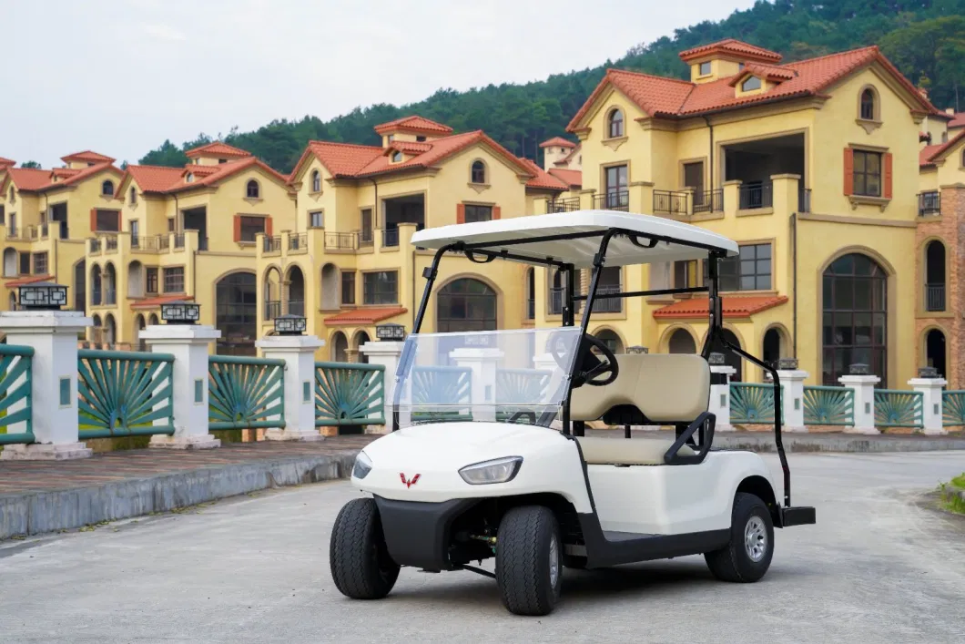 Wuling 2 4 Seats China Factory Custom Club Car Battery Operated Golf Carts Electric Golf Buggy