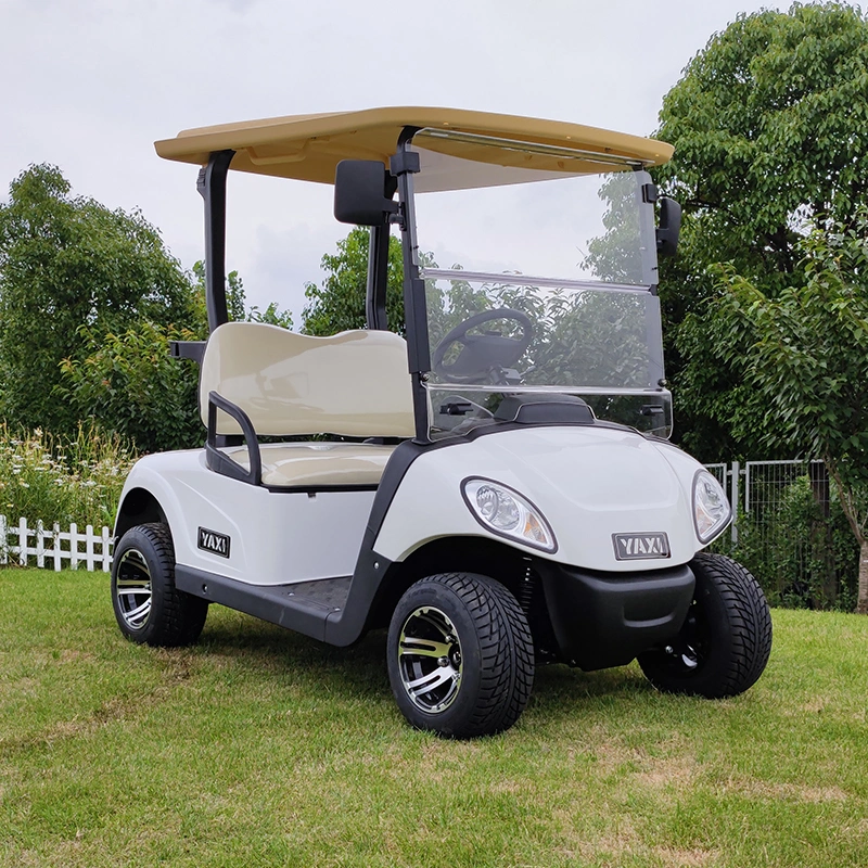 Cheap New Model 2 Seater Golf Cart Lsv Ptv