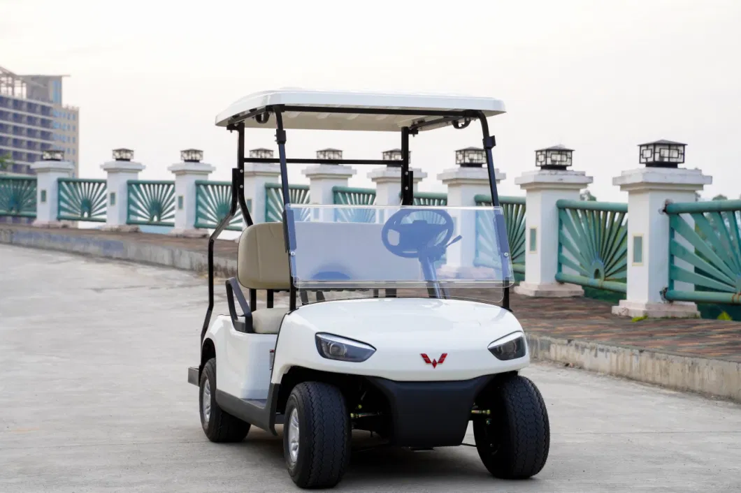 Wuling 2 4 Seats China Factory Custom Club Car Battery Operated Golf Carts Electric Golf Buggy