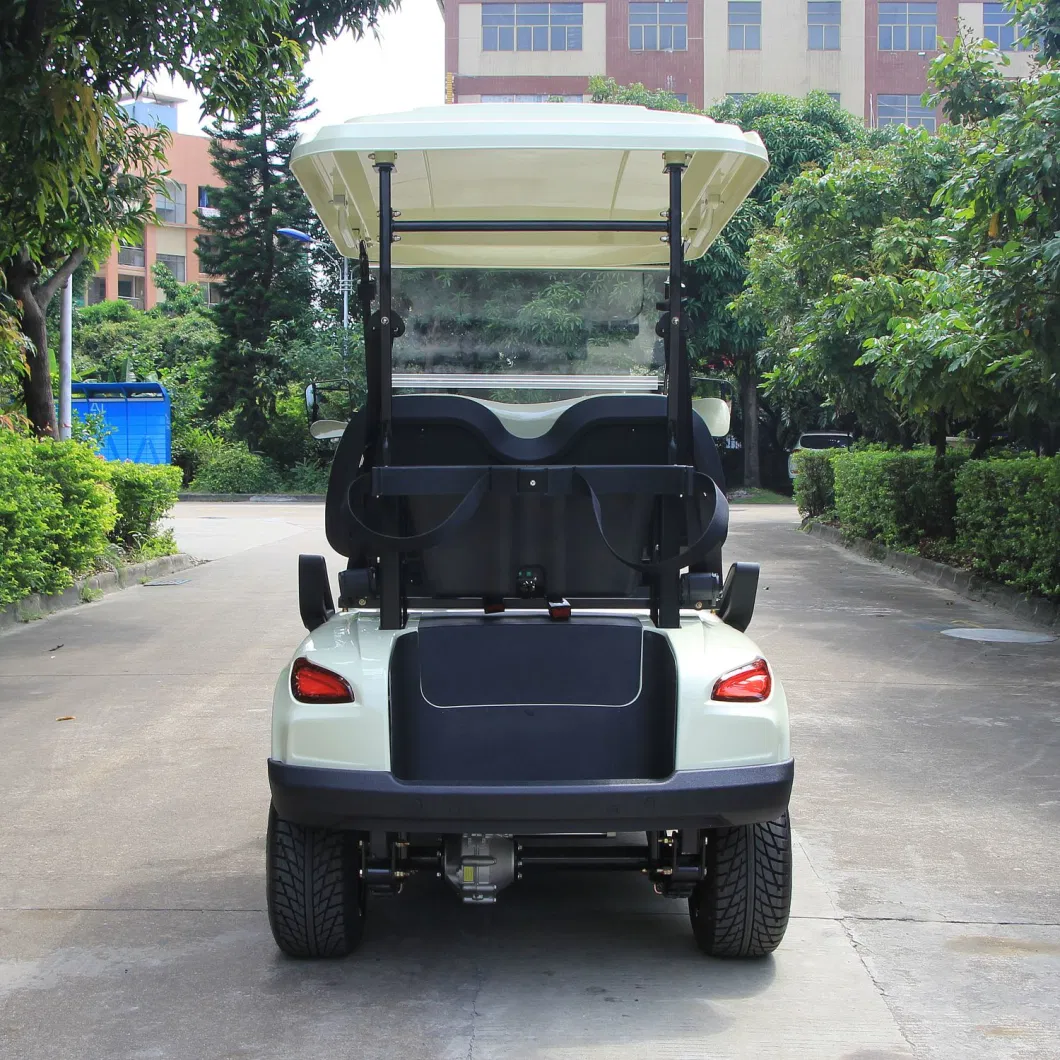 2 Seater Battery Operated Lead Acid or Lithium Powered Golf Cart Sightseeing Bus