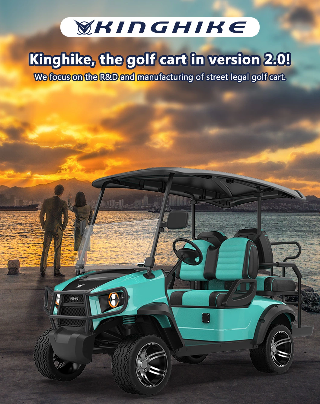 Luxurious Street Legal Lithium Battery 4 Seater Electric Golf Cart for Sale