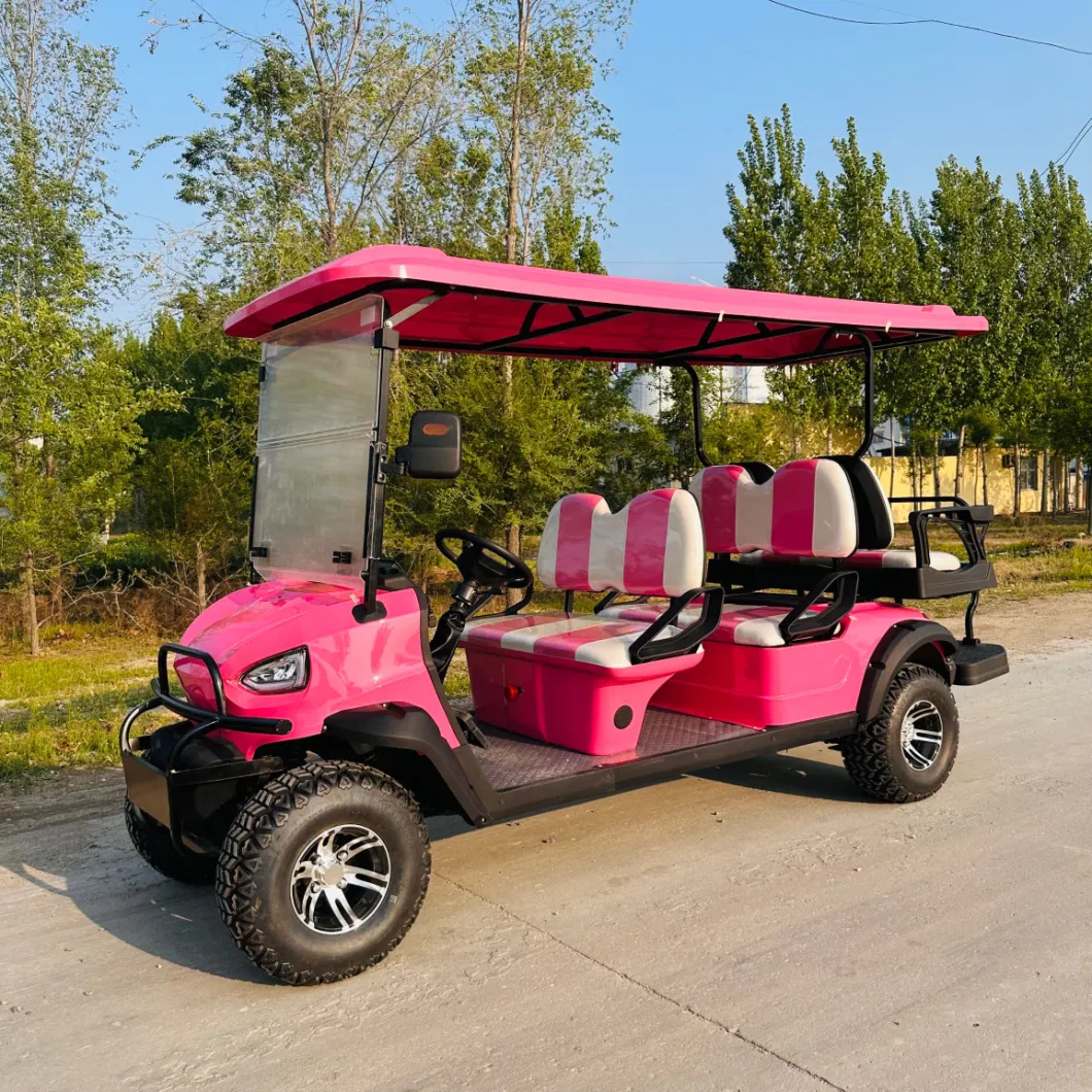 2024 Electric Scooter/ Gasoline Cart 4 6 Seater Used Icon Gas Powered Golf Carts with Free Customization