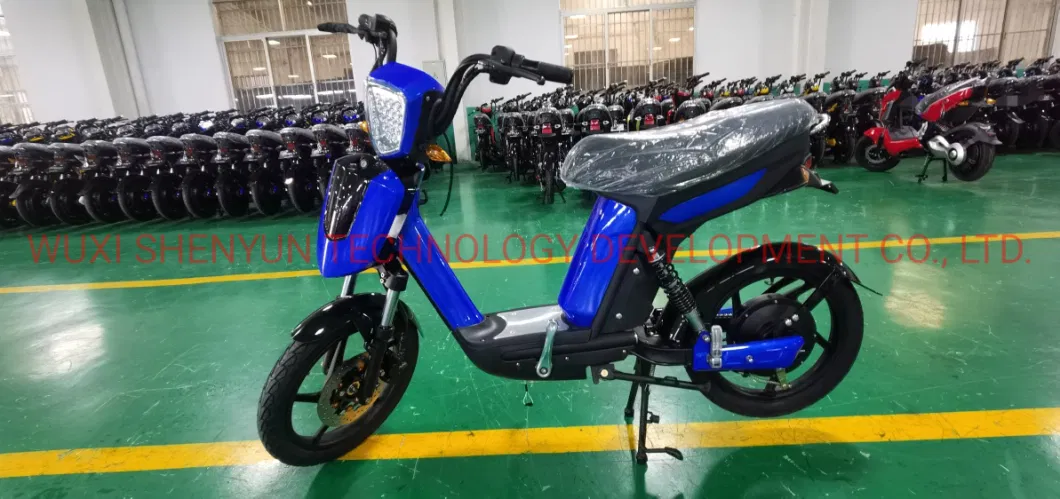 Most Popular 2 Wheel Road 500W Powerful Mobility Electric Bike for Youth