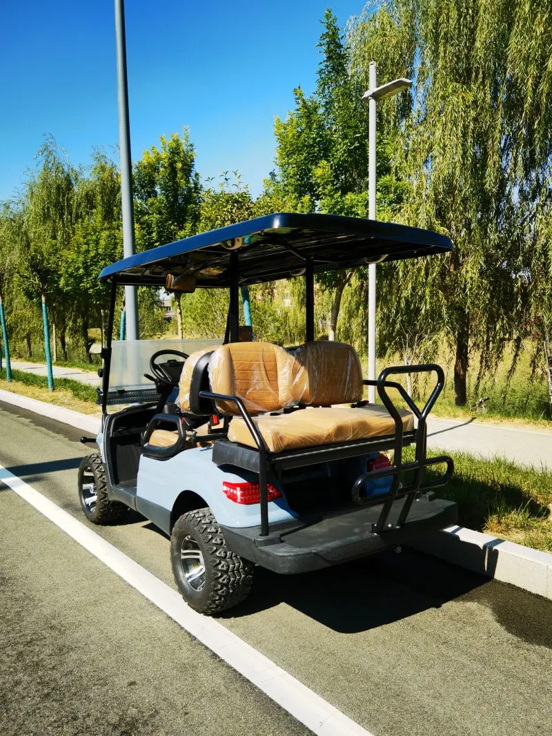 Factory Direct Sales New Model Electric Golf Carts