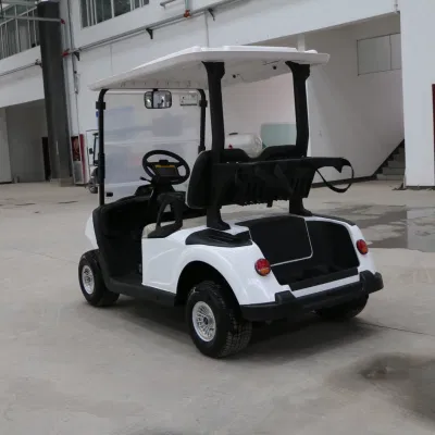 Hongchangda 72V 2/48V plazas Electric Evolution Golf Cart con CE Certificación