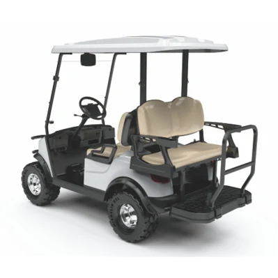 Club bonito coche levantaron el carro eléctrico vehículo alimentado por baterías de carros de golf con el parabrisas (DH-M2+2)
