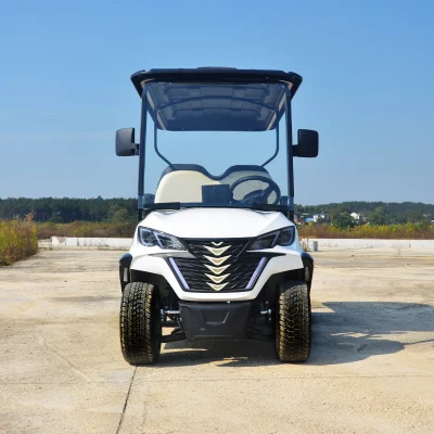 2023 Electric Club off-Road Vehicle DS Outdoor &amp; Tourist Attraction Coche turístico