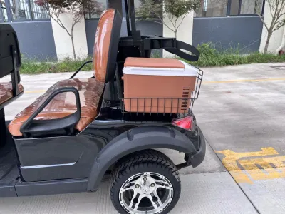 LSV City Tourist Car Street Legal Golf Cart con refrigerador