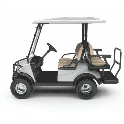 Club bonito coche levantaron el carro eléctrico vehículo alimentado por baterías de carros de golf con el parabrisas (DH-M2+2)