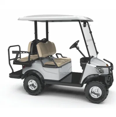 Club bonito coche levantaron el carro eléctrico vehículo alimentado por baterías de carros de golf con el parabrisas (DH-M2+2)