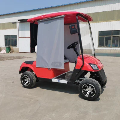 Carrito de Golf clásico de calidad superior con 2 asientos