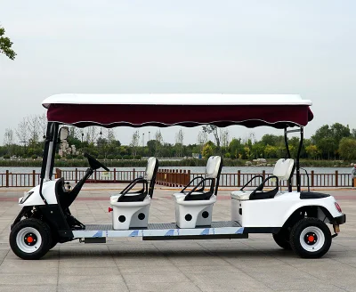 Venta de carros eléctricos para el Mayoreo de vehículos utilitarios Australia 2 pasajeros Asientos de 4 asientos de seguridad 4X4 Caza Golf Cart