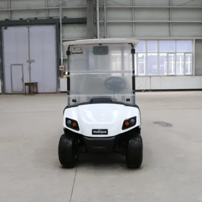 Hongchangda 72V 2/48V plazas Electric Evolution Golf Cart con CE Certificación
