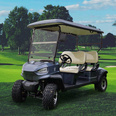 Wintao Custom litio batería eléctrico Golf Cart Mini Golf Buggy