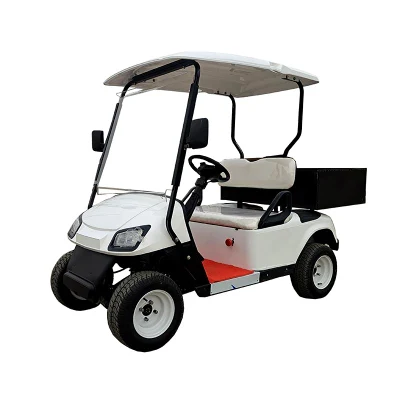 2 asientos al por mayor Golf Carts con caja de carga trasera para Ventas de coches Club