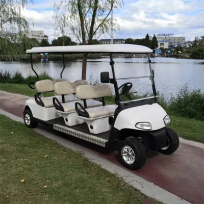 48V Carrito de golf para el uso del Club de primera calidad precio mayorista