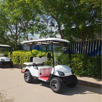 Mini Scooter off-Road 6 Volt Electric Golf Cart 48/72 asientos Carrito de Golf eléctrico fuera de camino Hunting Vans Utility Vehicle