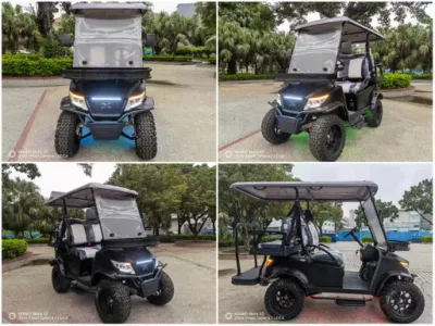 China Proveedor de Golf Cart Custom 2 4 6 plazas movilidad Scooter Golf vehículos utilitarios del coche