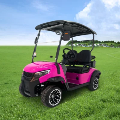 Super Quality Golf Cart 2 asientos Predator G2 Electric Golf Coche