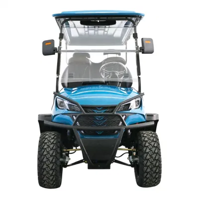 Venta al por mayor Calle Legal Antique 4+2 asientos 4 Wheel Drive Electric Coche eléctrico de carros de golf de litio