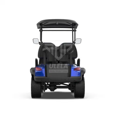 Ulela Advanced EV Golf Cart Dealers Electric Rear Drive cerrado Golf Buggy Electric China 2 asientos E Car Golf Cart