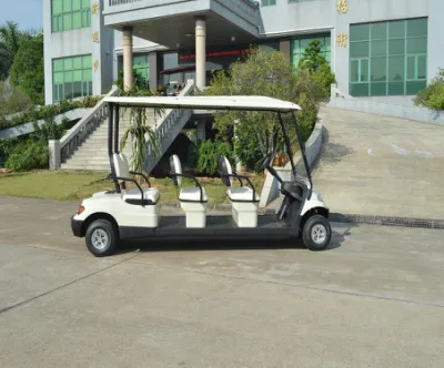 Nuevo diseño Smart Cart fabricante de China 6 Plazas carro de golf