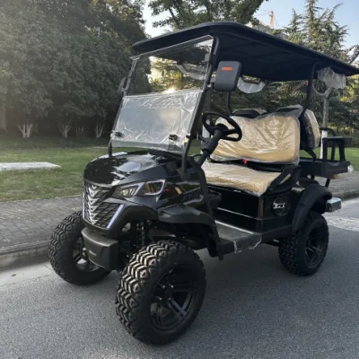 2+2 Carro de Golf eléctrico, llantas de aleación de aluminio Opciones de colores múltiples grandes