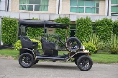 Aprobación CE Carro de Golf Eléctrico Modelo T Clásico Antiguo de 48V