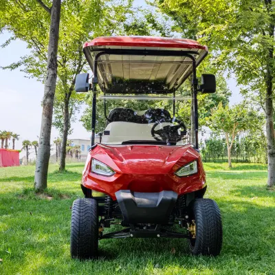 48V o 72V Lsv 6 persona carro de golf para adultos