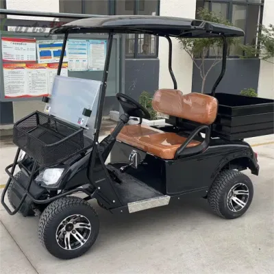 2 asientos Utility Golf Carts Street Legal Golf Electric Cart Con cama cargo