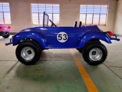 Manufactura Quad ATV 2WD 4WD carro de golf Cool Mini Coche escarabajo