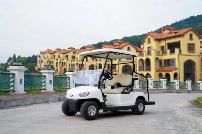 Carrito de Golf Eléctrico Carro de Golf Eléctrico Barato Carros de Golf Eléctricos Carro de Golf Eléctrico Club con Certificado CE