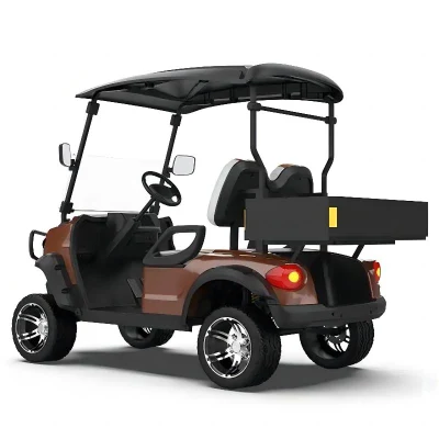 High Power off-Road Golf Cart Calle Legal 2 pasajeros eléctricos Carrito de Golf