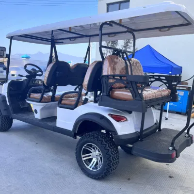 Nuevo diseño Tourist 6 Passenger Utility Carts White Hunting Gas Carrito de Golf