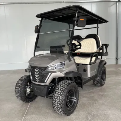 2+2 Carro de Golf eléctrico, llantas de aleación de aluminio Opciones de colores múltiples grandes