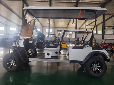 Con 60V Batería Electric Beach Buggy carro de golf eléctrico utilitario