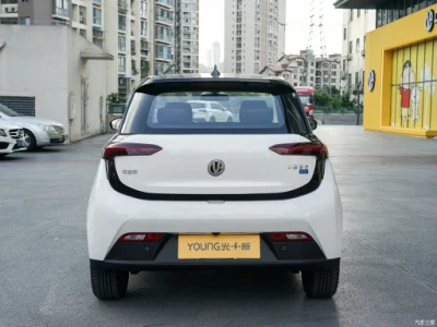 EV House jóvenes 4 asientos 408 km rango EV Coche Mini batería eléctrico coche
